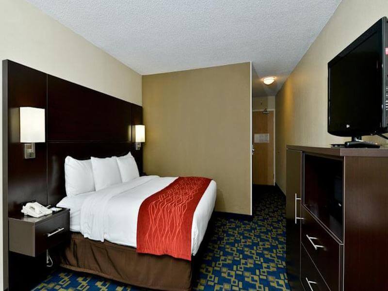 Comfort Inn Suites Convention Center Orlando Undercover Tourist