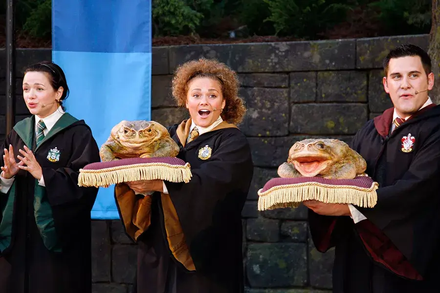 Frog Choir