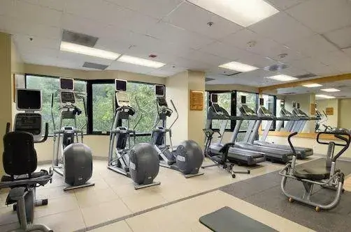 Fitness_01.jpg