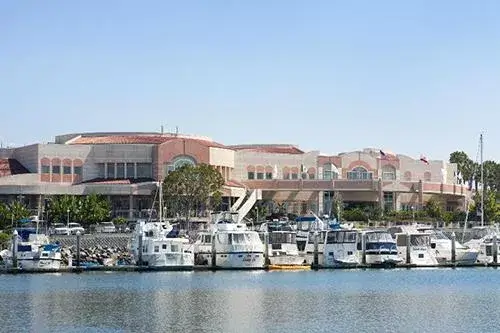 harbor.jpg
