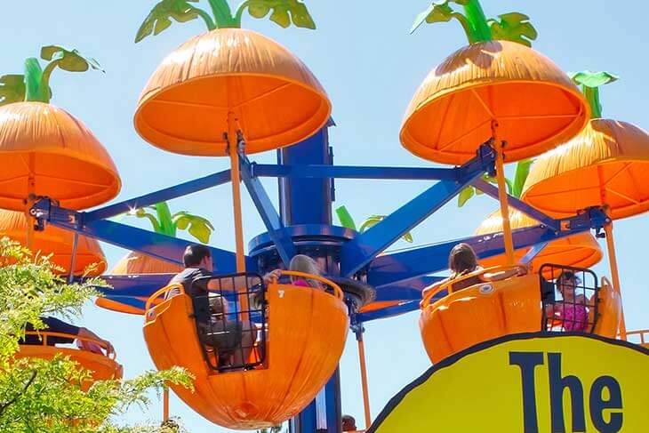The Pumpkin Patch