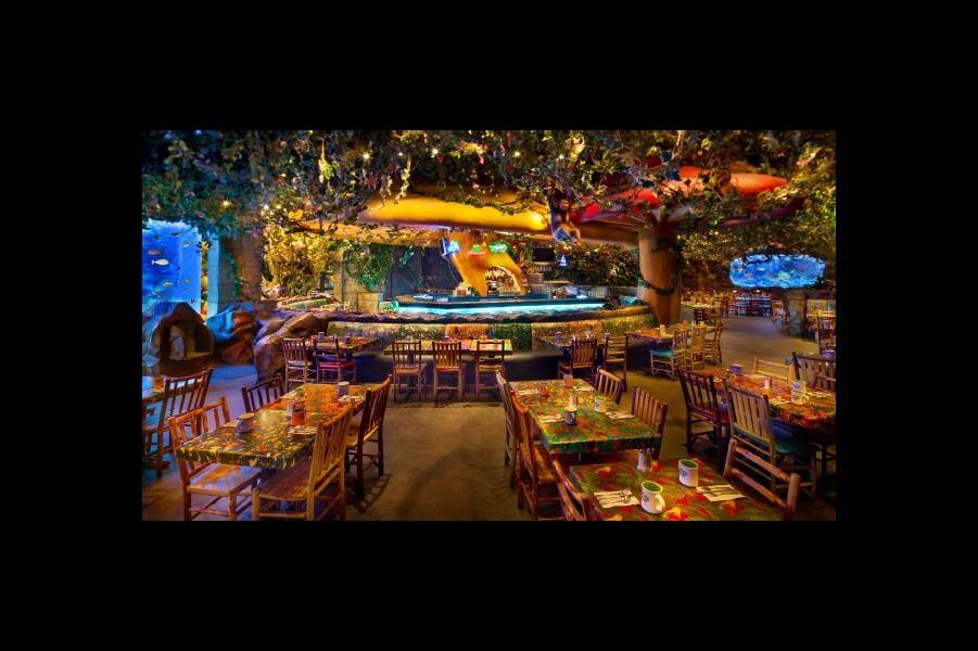 Rainforest Cafe® at Disney's Animal Kingdom