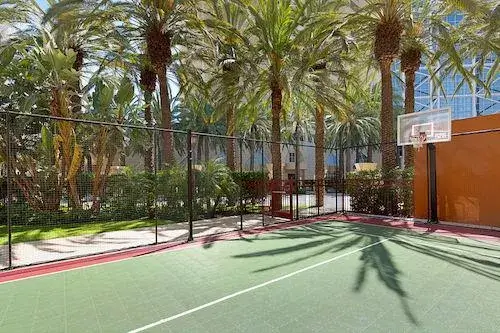 Tennis Court.jpg