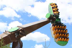 Soaring Timbers