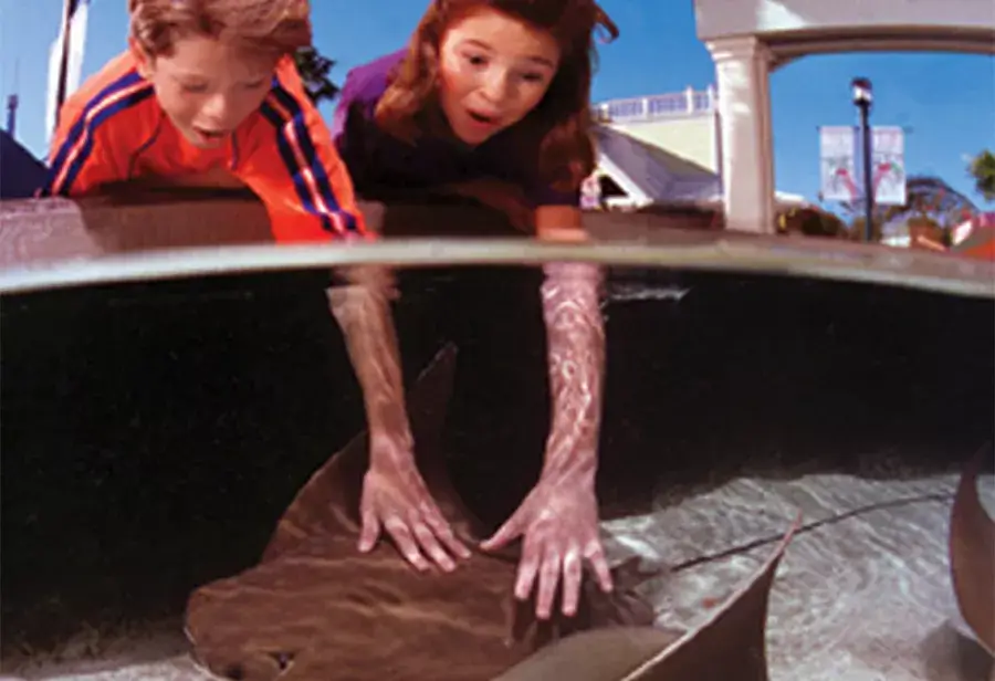 Stingray Lagoon®