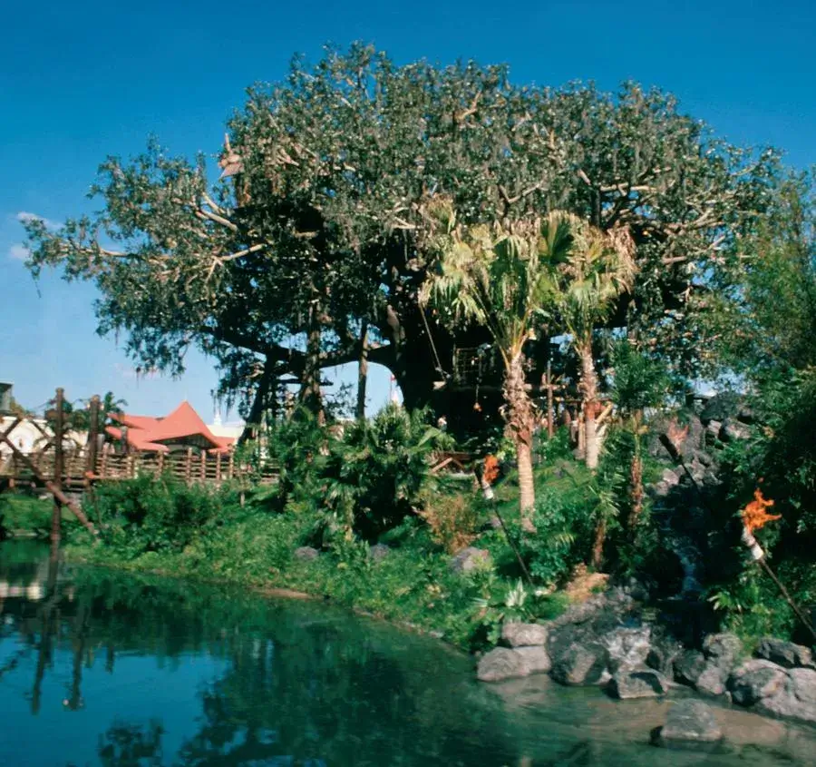 Swiss Family Treehouse