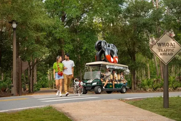 Cabins DVC