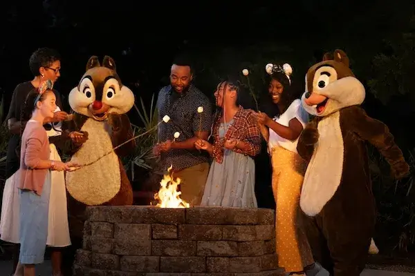 Cabins DVC