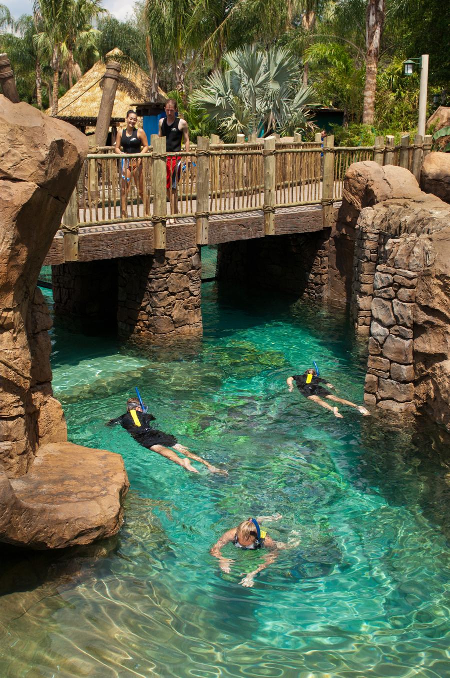 The Grand Reef