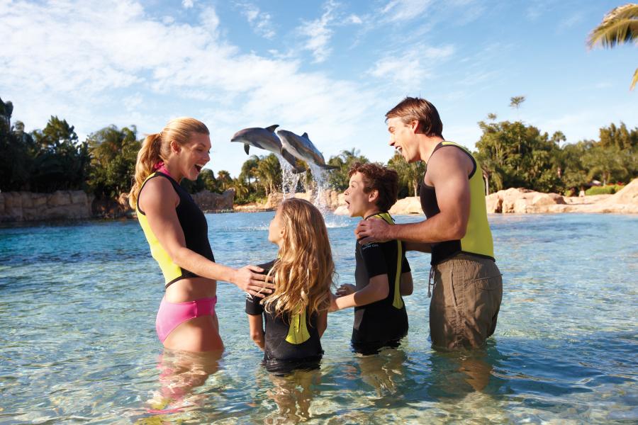 Dolphin Lagoon