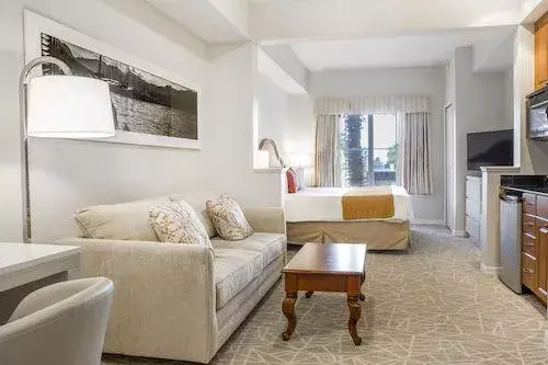 Executive Studio Suite_01.jpg