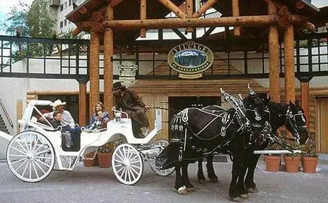 1004_carriage_01 copy.jpg