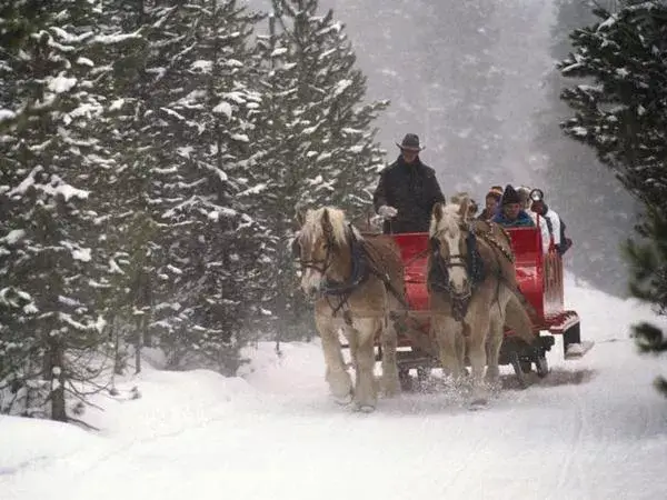 1005_carriage_ride_01 copy.jpg