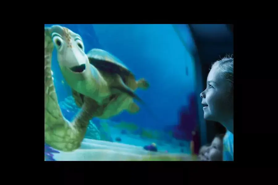 Turtle Talk with Crush