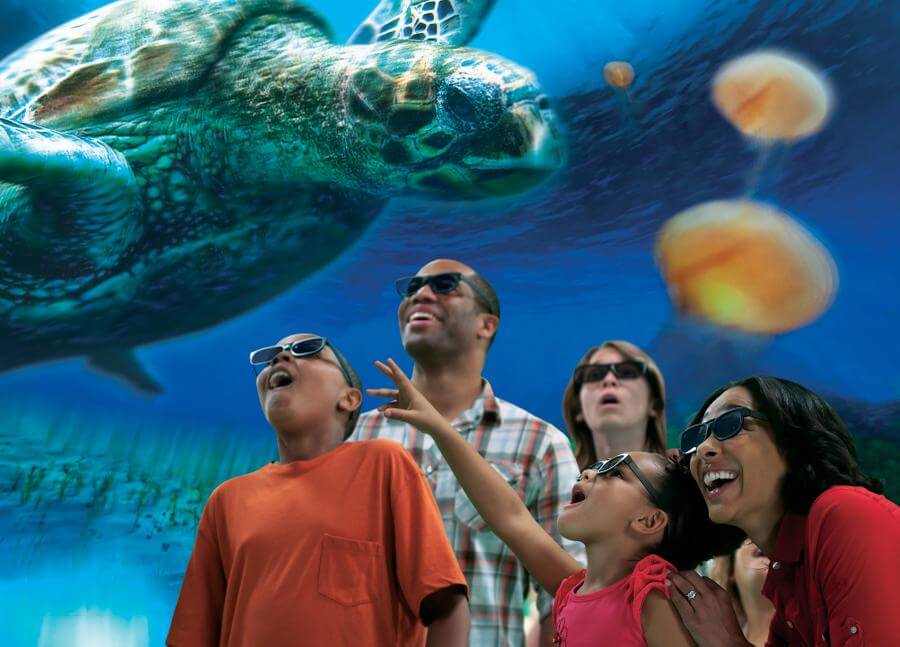 TurtleTrek®