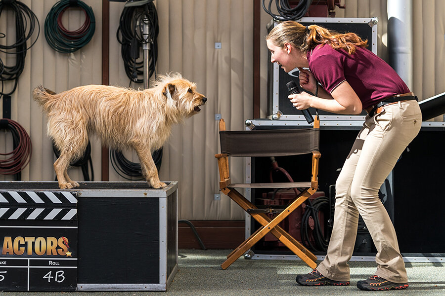 Universal's Animal Actors