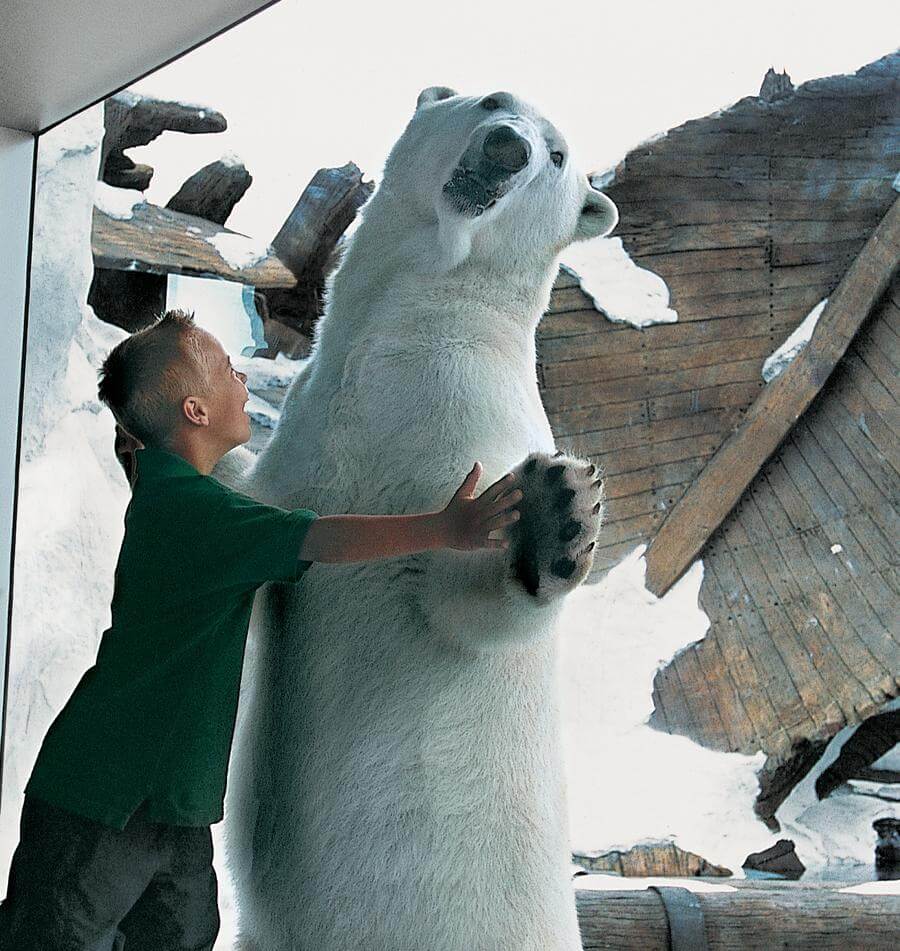 Wild Arctic