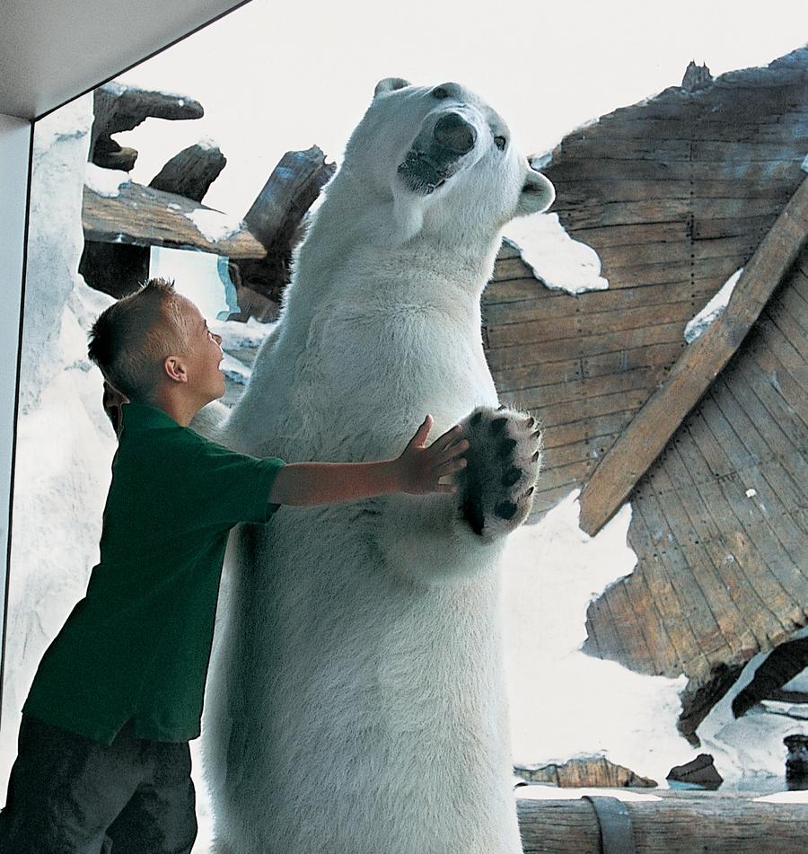 Wild Arctic® Ride