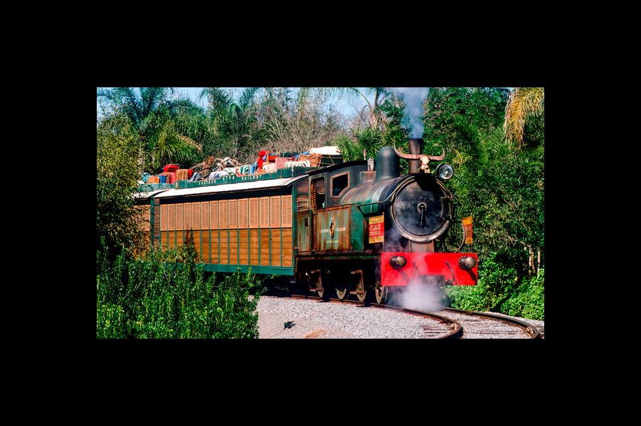 Wildlife Express Train - Harambe Station