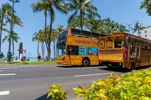 Waikiki Trolley Ticket
