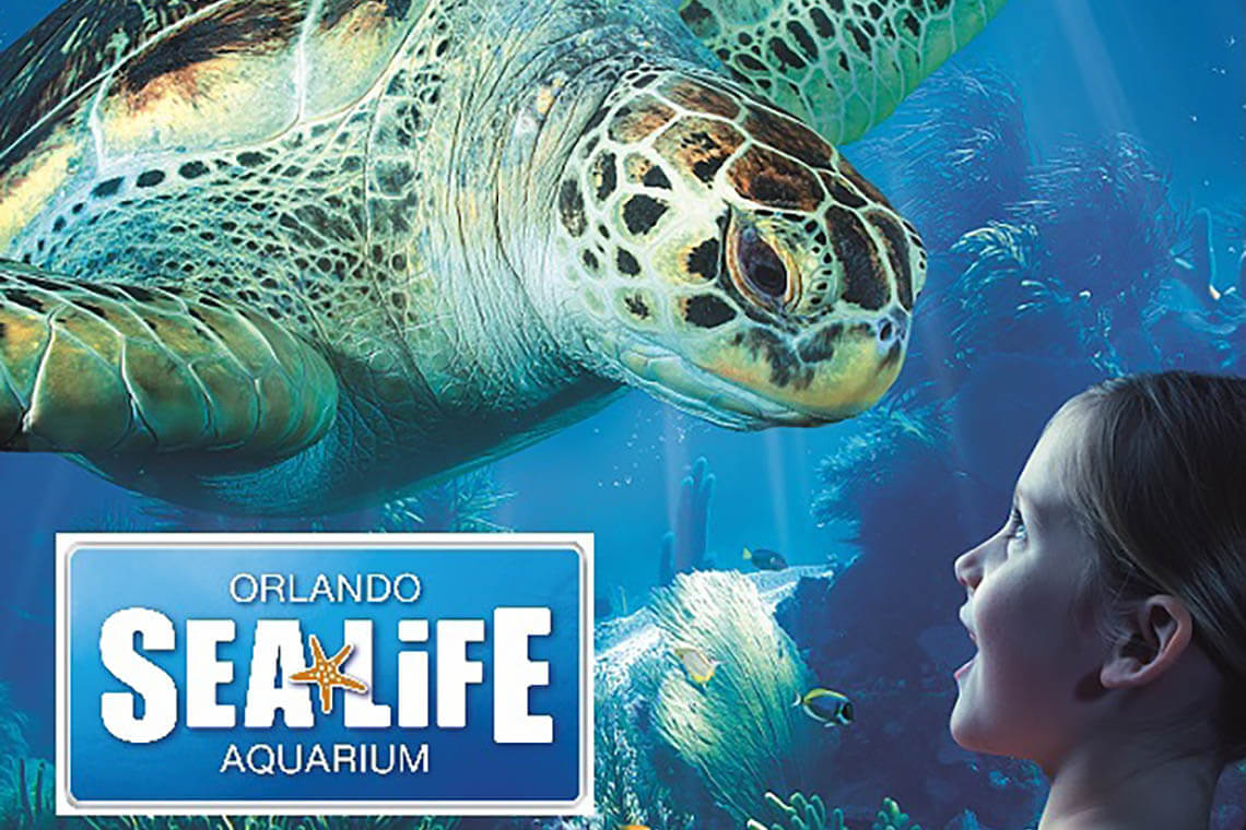 Sea Life Orlando: General Admission (PROMO) Ticket | Undercover Tourist