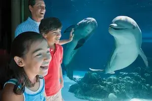 SeaWorld Parks: Three Park Ticket + 3 FREE Meal Vouchers (EAT FREE PROMO) <span class="dining-dollars-ticket-suffix">+ FREE $20 DiningDollars.com Credit</span>