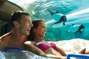 SeaWorld Parks: Two Park Ticket + 2 FREE Meal Vouchers (EAT FREE PROMO) <span class="dining-dollars-ticket-suffix">+ FREE $20 DiningDollars.com Credit</span>