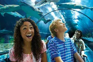 SeaWorld San Diego Single Day + Kids FREE Ticket