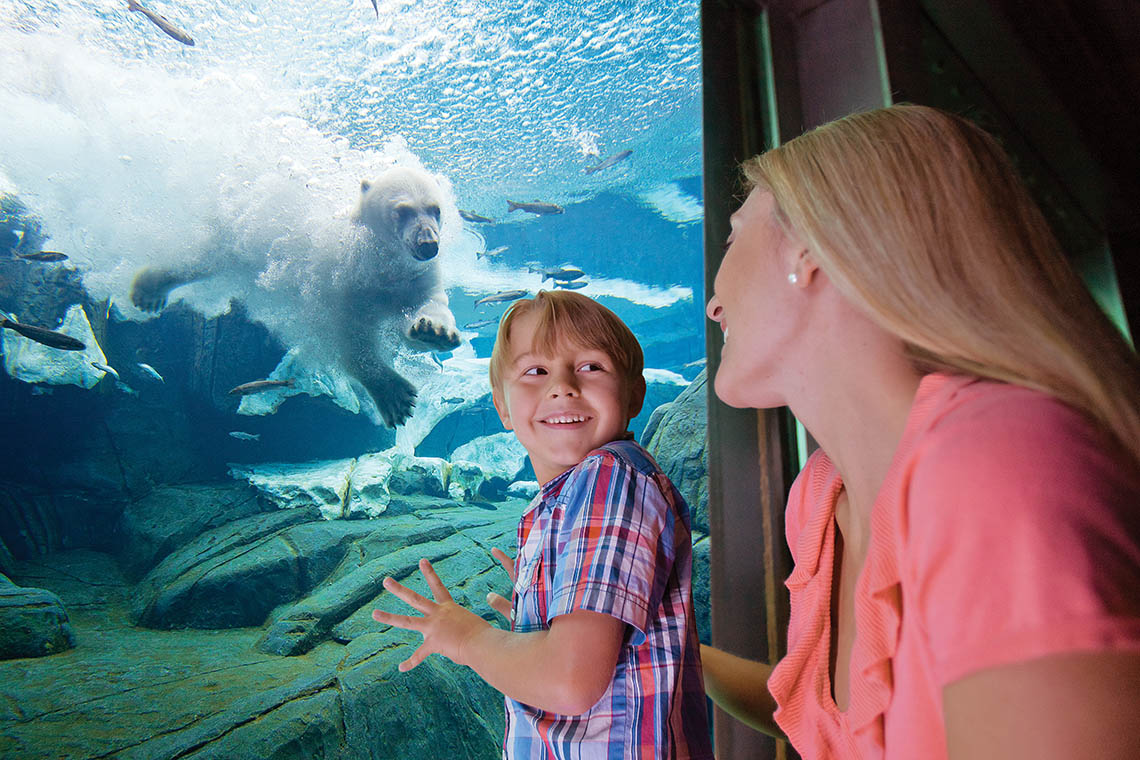 Seaworld Orlando Busch Gardens Aquatica Annual Pass