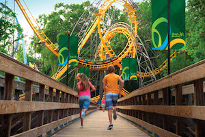 Busch Gardens Williamsburg and Water Country USA 2022 Fun Card (PROMO)